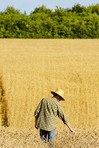 آبیاری و کشاورزی هوشمند