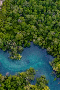 هوشمند سازی محیطی